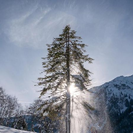 Silber Lodge Im Wiesenstein 奥法赫 外观 照片