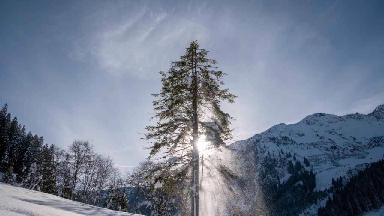 Silber Lodge Im Wiesenstein 奥法赫 外观 照片