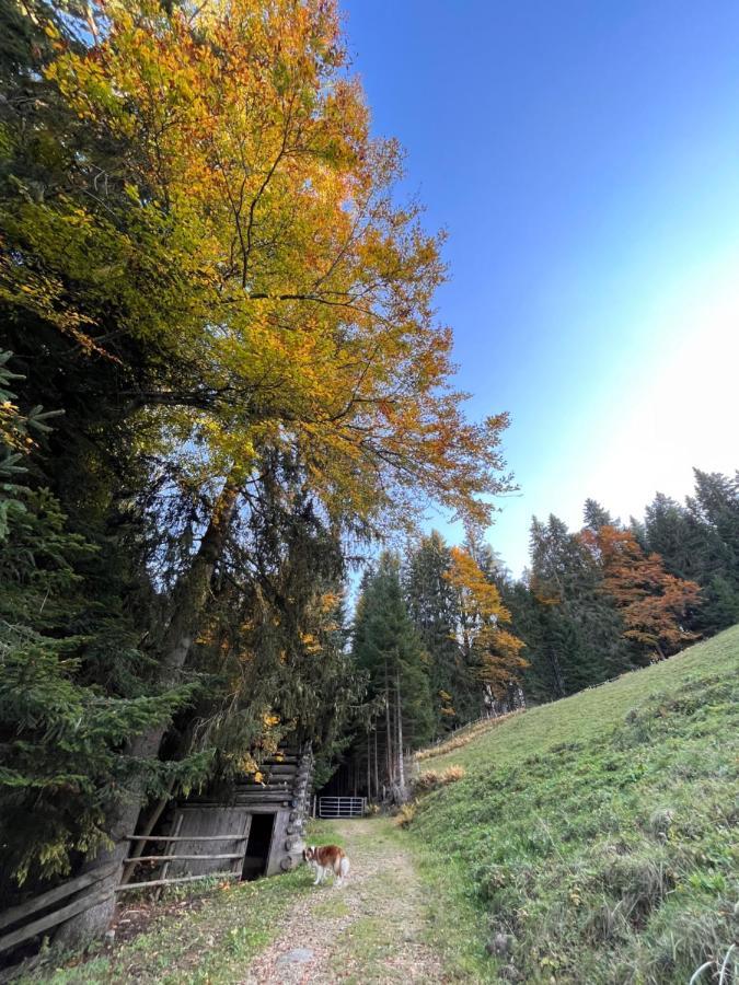 Silber Lodge Im Wiesenstein 奥法赫 外观 照片