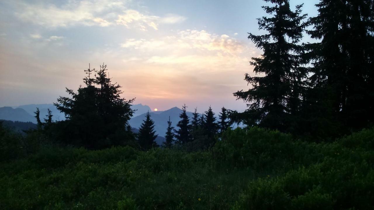 Silber Lodge Im Wiesenstein 奥法赫 外观 照片
